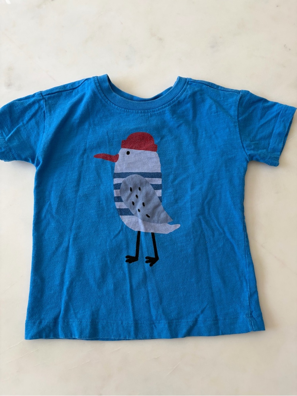 Hanna Andersson Bright Blue Seagull Tee with Red Cap
